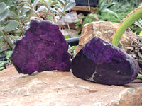 Polished On One Side Purpurite Specimens x 6 From Namibia