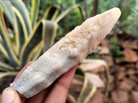 Natural Drusy Quartz Coated Calcite Pseudomorph Specimens x 12 From Alberts Mountain, Lesotho