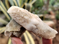 Natural Drusy Quartz Coated Calcite Pseudomorph Specimens x 12 From Alberts Mountain, Lesotho