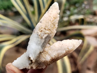 Natural Drusy Quartz Coated Calcite Pseudomorph Specimens x 12 From Alberts Mountain, Lesotho