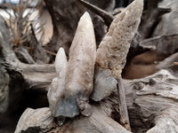 Natural Drusy Quartz Coated Calcite Pseudomorph Specimens x 12 From Alberts Mountain, Lesotho