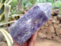 Polished Lepidolite with Pink Rubellite Points x 2 From Ambatondrazaka, Madagascar