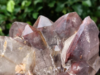 Polished Red Hematoid Quartz Clusters x 2 From Karoi, Zimbabwe