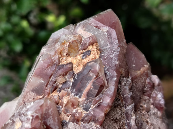 Polished Red Hematoid Quartz Clusters x 2 From Karoi, Zimbabwe