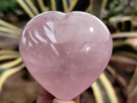 Polished Rose Quartz Hearts 12 x From Ambatondrazaka, Madagascar