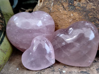 Polished Rose Quartz Hearts 12 x From Ambatondrazaka, Madagascar