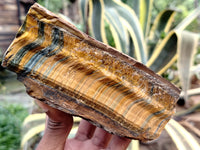 Natural Tiger's Eye Specimens x 2 From Prieska, South Africa