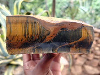 Natural Tiger's Eye Specimens x 2 From Prieska, South Africa