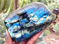 Polished Labradorite Standing Free Forms x 3 From Tulear, Madagascar