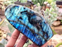 Polished Labradorite Standing Free Forms x 3 From Tulear, Madagascar