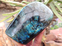 Polished Labradorite Standing Free Forms x 3 From Tulear, Madagascar