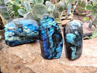 Polished Labradorite Standing Free Forms x 3 From Tulear, Madagascar