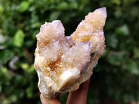 Natural Ametrine Spirit Quartz Clusters x 12 From Boekenhouthoek, South Africa