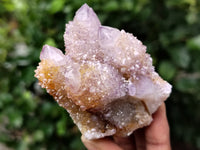 Natural Ametrine Spirit Quartz Clusters x 12 From Boekenhouthoek, South Africa