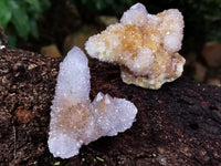 Natural Ametrine Spirit Quartz Clusters x 12 From Boekenhouthoek, South Africa