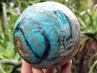 Polished Chrysocolla and Shattuckite Spheres x 2 From Congo