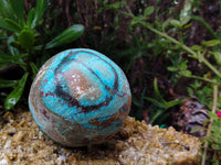 Polished Chrysocolla and Shattuckite Spheres x 2 From Congo