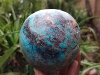 Polished Chrysocolla and Shattuckite Spheres x 2 From Congo