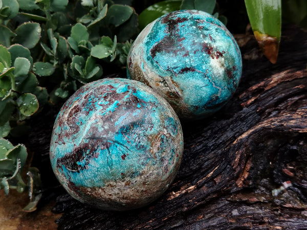 Polished Chrysocolla and Shattuckite Spheres x 2 From Congo