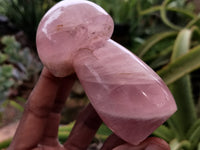 Polished Rose Quartz Mushrooms x 6 From Ambatondrazaka, Madagascar