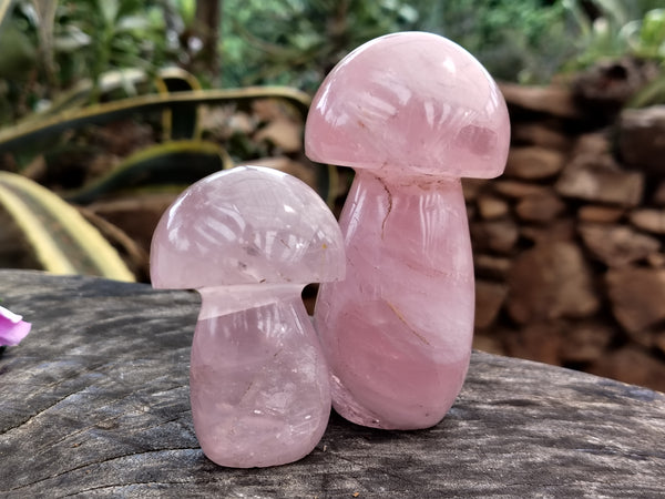 Polished Rose Quartz Mushrooms x 6 From Ambatondrazaka, Madagascar