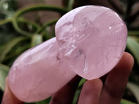 Polished Rose Quartz Mushrooms x 6 From Ambatondrazaka, Madagascar