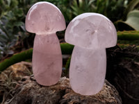 Polished Rose Quartz Mushrooms x 6 From Ambatondrazaka, Madagascar