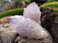 Natural Amethyst Spirit Quartz Clusters x 15 From Boekenhouthoek, South Africa