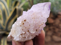 Natural Amethyst Spirit Quartz Clusters x 15 From Boekenhouthoek, South Africa