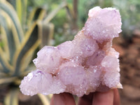 Natural Amethyst Spirit Quartz Clusters x 15 From Boekenhouthoek, South Africa