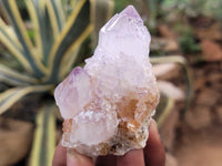 Natural Amethyst Spirit Quartz Clusters x 15 From Boekenhouthoek, South Africa