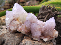 Natural Amethyst Spirit Quartz Clusters x 15 From Boekenhouthoek, South Africa