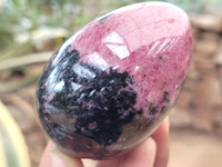 Polished Rhodonite Eggs x 6 From Ambindavato, Madagascar