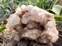 Natural Smokey Phantom Quartz Clusters x 1 From Luena, Congo