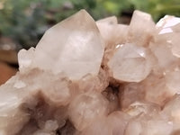 Natural Smokey Phantom Quartz Clusters x 1 From Luena, Congo