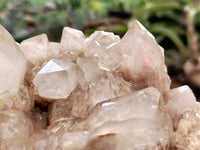 Natural Smokey Phantom Quartz Clusters x 1 From Luena, Congo