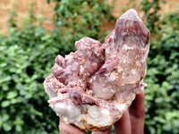 Natural Red Hematoid Quartz Clusters x 6 From Karoi, Zimbabwe