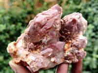 Natural Red Hematoid Quartz Clusters x 6 From Karoi, Zimbabwe