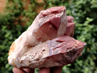 Natural Red Hematoid Quartz Clusters x 6 From Karoi, Zimbabwe