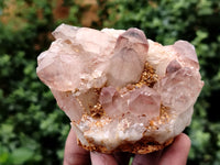 Natural Red Hematoid Quartz Clusters x 6 From Karoi, Zimbabwe