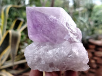 Natural Jacaranda Amethyst Quartz Crystals x 6 From Mumbwa, Zambia