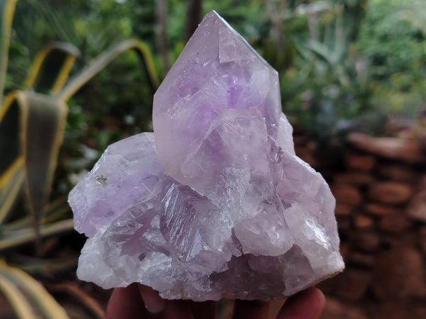 Natural Jacaranda Amethyst Quartz Crystals x 6 From Mumbwa, Zambia