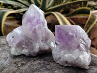 Natural Jacaranda Amethyst Quartz Crystals x 6 From Mumbwa, Zambia