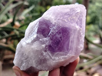 Natural Jacaranda Amethyst Quartz Crystals x 6 From Mumbwa, Zambia