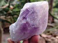 Natural Jacaranda Amethyst Quartz Crystals x 6 From Mumbwa, Zambia