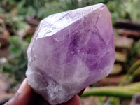 Natural Jacaranda Amethyst Quartz Crystals x 6 From Mumbwa, Zambia