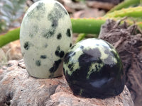 Polished Leopard Stone Standing Free Forms x 12 From Nyanga, Zimbabwe