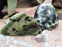 Polished Leopard Stone Standing Free Forms x 12 From Nyanga, Zimbabwe