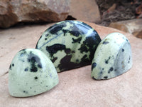 Polished Leopard Stone Standing Free Forms x 12 From Nyanga, Zimbabwe