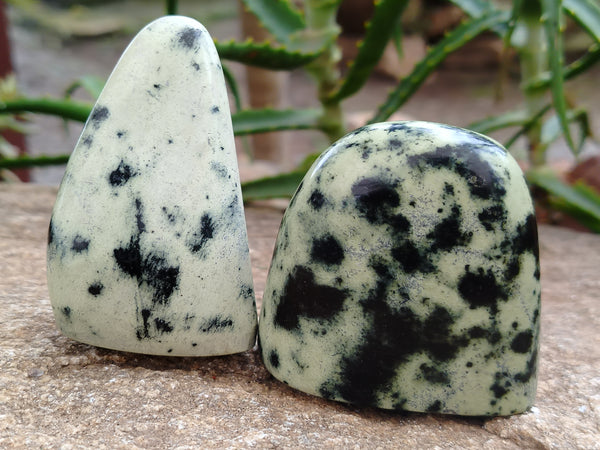 Polished Leopard Stone Standing Free Forms x 12 From Nyanga, Zimbabwe